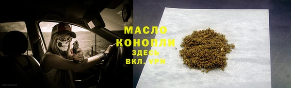 индика Гатчина